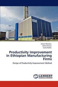 bokomslag Productivity Improvement in Ethiopian Manufacturing Firms