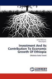 bokomslag Investment And Its Contribution To Economic Growth Of Ethiopia