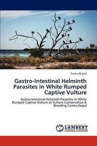 bokomslag Gastro-Intestinal Helminth Parasites in White Rumped Captive Vulture