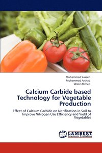 bokomslag Calcium Carbide Based Technology for Vegetable Production