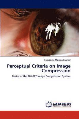 Perceptual Criteria on Image Compression 1