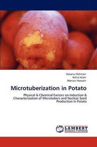 bokomslag Microtuberization in Potato
