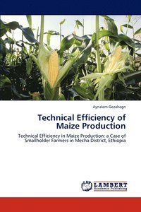 bokomslag Technical Efficiency of Maize Production