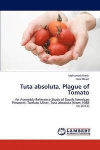 bokomslag Tuta Absoluta, Plague of Tomato