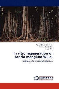 bokomslag In vitro regeneration of Acacia mangium Willd.