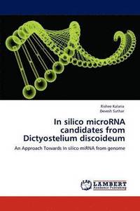 bokomslag In silico microRNA candidates from Dictyostelium discoideum