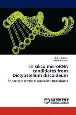 In silico microRNA candidates from Dictyostelium discoideum 1