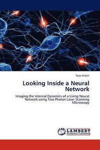 bokomslag Looking Inside a Neural Network