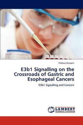 bokomslag E3b1 Signalling on the Crossroads of Gastric and Esophageal Cancers