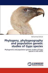 bokomslag Phylogeny, phylogeography and population genetic studies of Gyps species