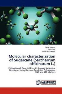 bokomslag Molecular characterization of Sugarcane (Saccharrum officinarum L.)