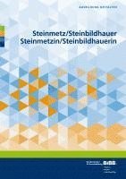 bokomslag Steinmetz/SteinbildhauerSteinmetzin/Steinbildhauerin