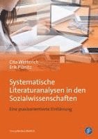 bokomslag Systematische Literaturanalysen in den Sozialwissenschaften