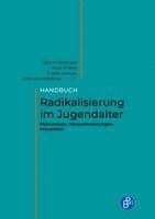 Björn Milbradt, Anja Frank, Frank Greuel, Maruta Herding - Handbuch Radikalisierung im Jugendalter, Inbunden