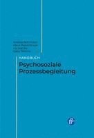 Handbuch Psychosoziale Prozessbegleitung