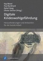 bokomslag Digitale Kindeswohlgefährdung