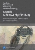 Kay Biesel, Paul Burkhard, Rahel Heeg, Olivier Steiner - Digitale Kindeswohlgefährdung, Häftad