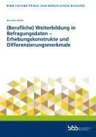 bokomslag (Berufliche) Weiterbildung in Befragungsdaten - Erhebungskonstrukte und Differenzierungsmerkmale