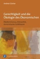 bokomslag Gerechtigkeit und die Ökologie des Ökonomischen