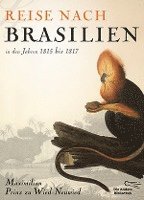 bokomslag Reise nach Brasilien in den Jahren 1815 bis 1817