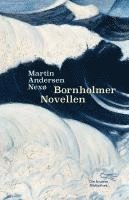 bokomslag Bornholmer Novellen