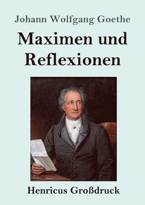 bokomslag Maximen und Reflexionen (Grodruck)