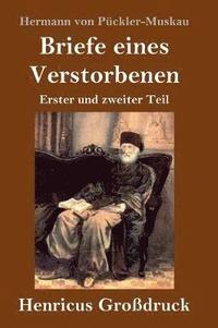 bokomslag Briefe eines Verstorbenen (Großdruck)