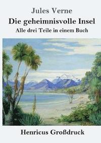bokomslag geheimnisvolle Insel (Großdruck)