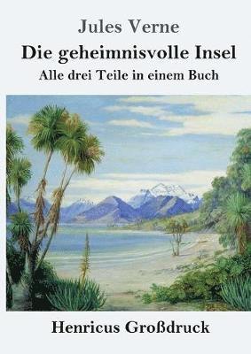 bokomslag geheimnisvolle Insel (Großdruck)