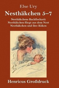 bokomslag Nesthkchen Gesamtausgabe in drei Grodruckbnden (Grodruck)