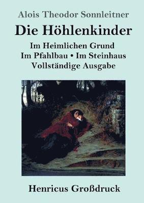 Alois Theodor Sonnleitner - Höhlenkinder (Großdruck), Häftad