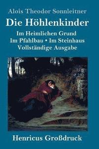 bokomslag Höhlenkinder (Großdruck)