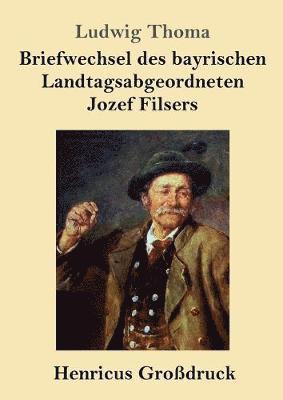 bokomslag Briefwechsel des bayrischen Landtagsabgeordneten Jozef Filsers (Grodruck)