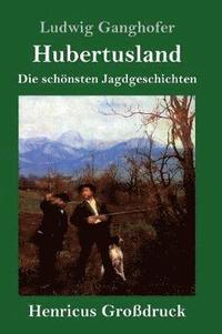 bokomslag Hubertusland (Großdruck)