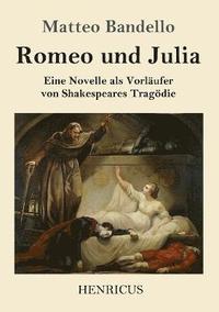 bokomslag Romeo und Julia