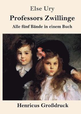 Else Ury - Professors Zwillinge (Großdruck), Häftad