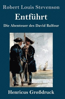 bokomslag Entführt (Großdruck)