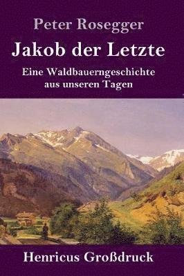 bokomslag Jakob der Letzte (Großdruck)
