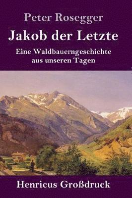 bokomslag Jakob der Letzte (Grodruck)