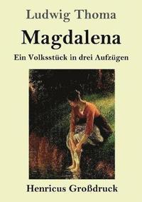 bokomslag Magdalena (Grossdruck)