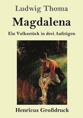 bokomslag Magdalena (Grossdruck)