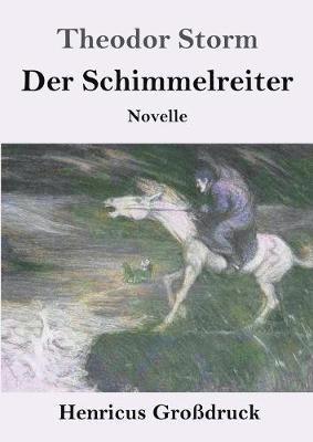 bokomslag Der Schimmelreiter (Grodruck)