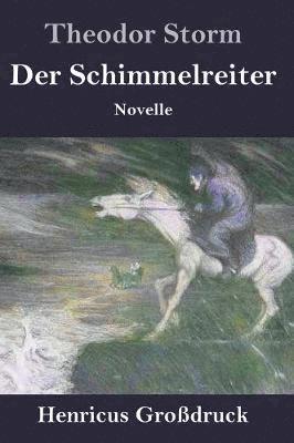 bokomslag Der Schimmelreiter (Grodruck)