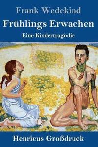 bokomslag Frühlings Erwachen (Großdruck)