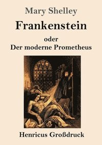 bokomslag Frankenstein oder Der moderne Prometheus (Grodruck)