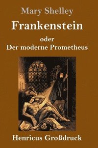 bokomslag Frankenstein oder Der moderne Prometheus (Großdruck)