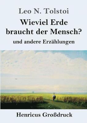 bokomslag Wieviel Erde braucht der Mensch? (Großdruck)