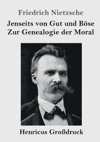 bokomslag Jenseits von Gut und Bse / Zur Genealogie der Moral (Grodruck)