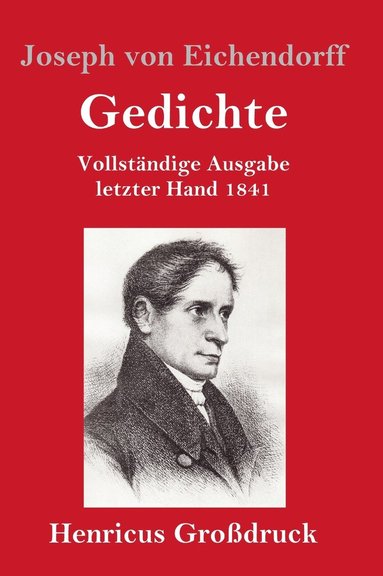 bokomslag Gedichte (Großdruck)