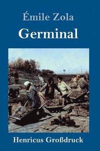 bokomslag Germinal (Grodruck)